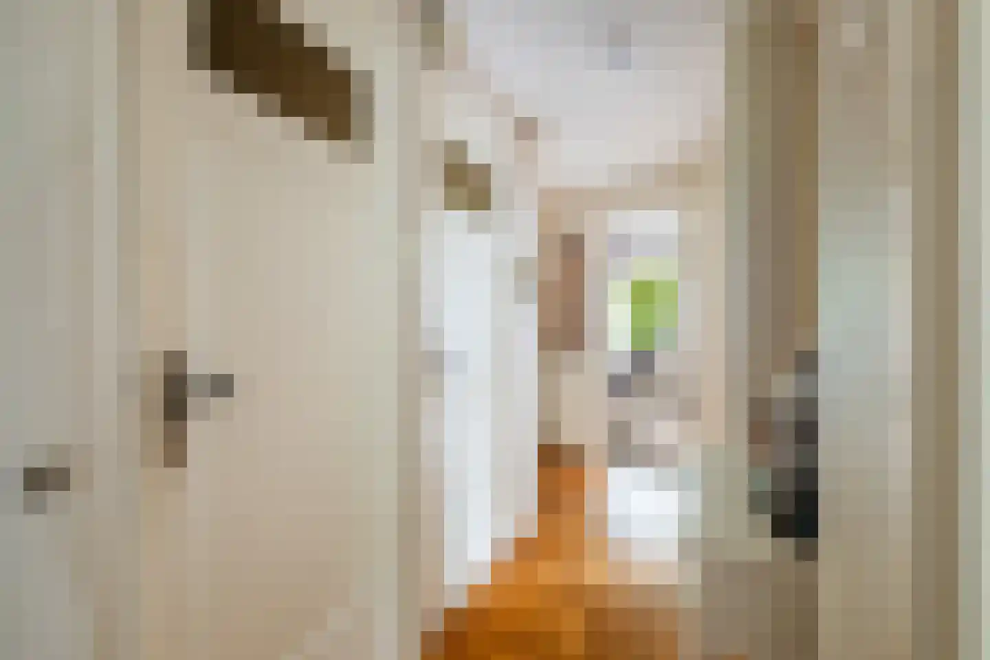Johan van Oldenbarneveltlaan 12 Den Haag thumbnail 24