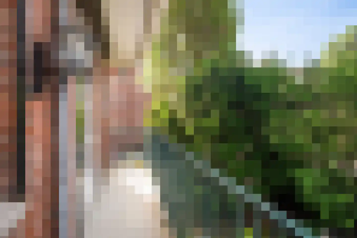 Johan van Oldenbarneveltlaan 12 Den Haag thumbnail 34