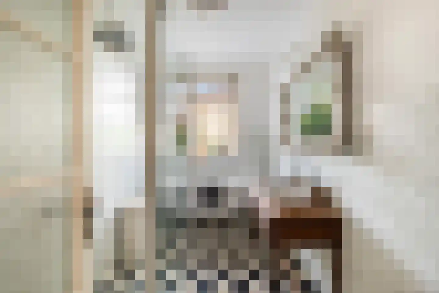 Johan van Oldenbarneveltlaan 12 Den Haag thumbnail 38
