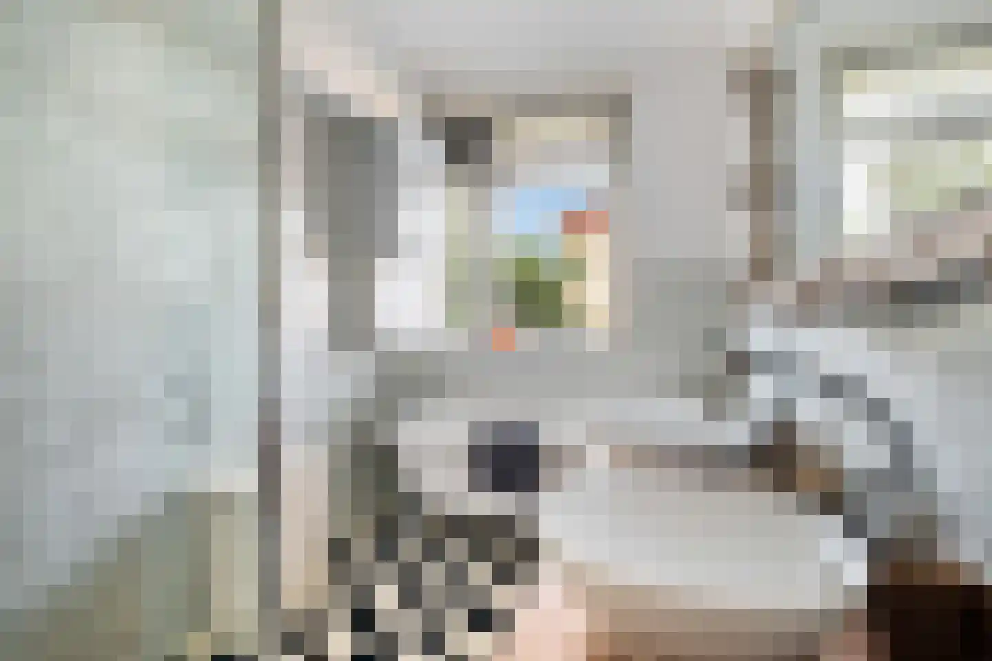 Johan van Oldenbarneveltlaan 12 Den Haag thumbnail 39