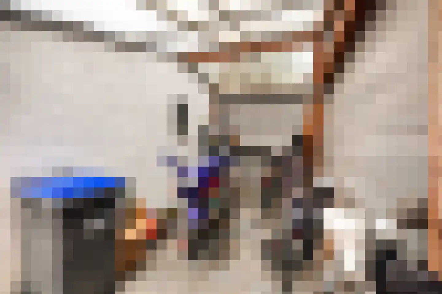 Johan van Oldenbarneveltlaan 12 Den Haag thumbnail 47