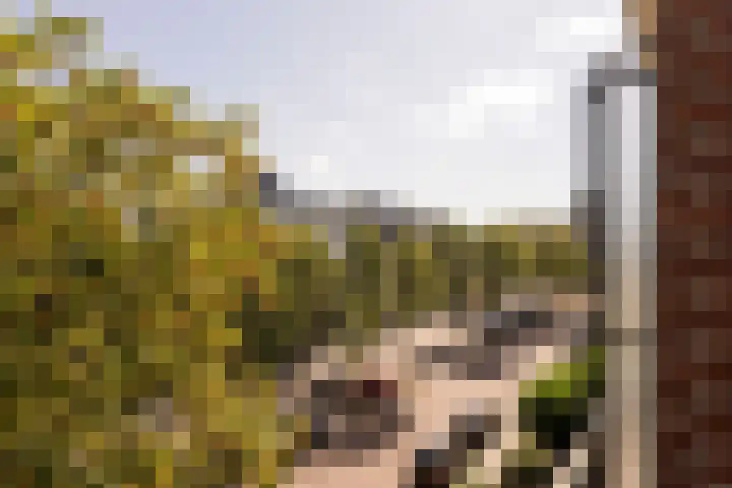 Johan van Oldenbarneveltlaan 20 C Den Haag thumbnail 10