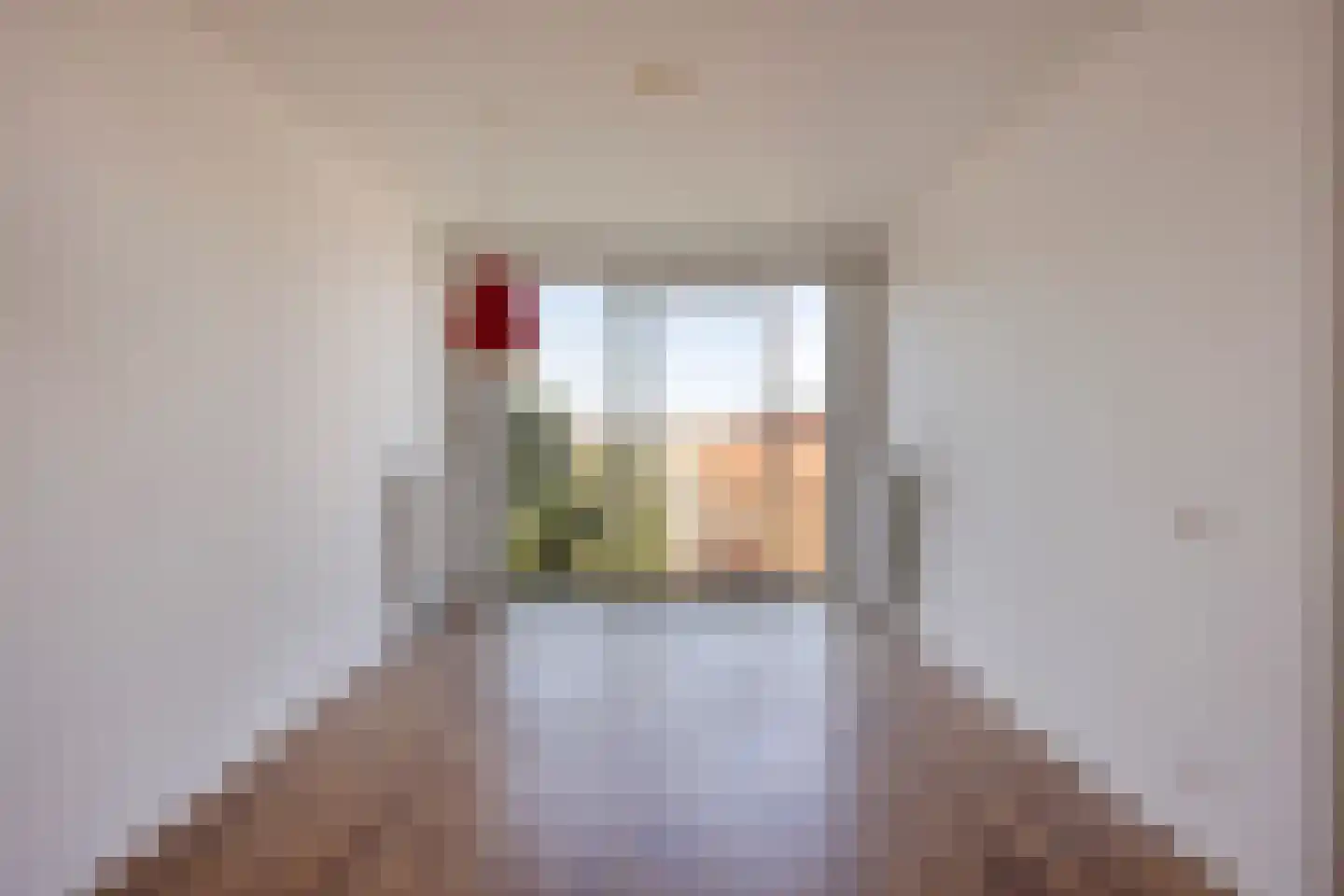 Johan van Oldenbarneveltlaan 20 C Den Haag thumbnail 13