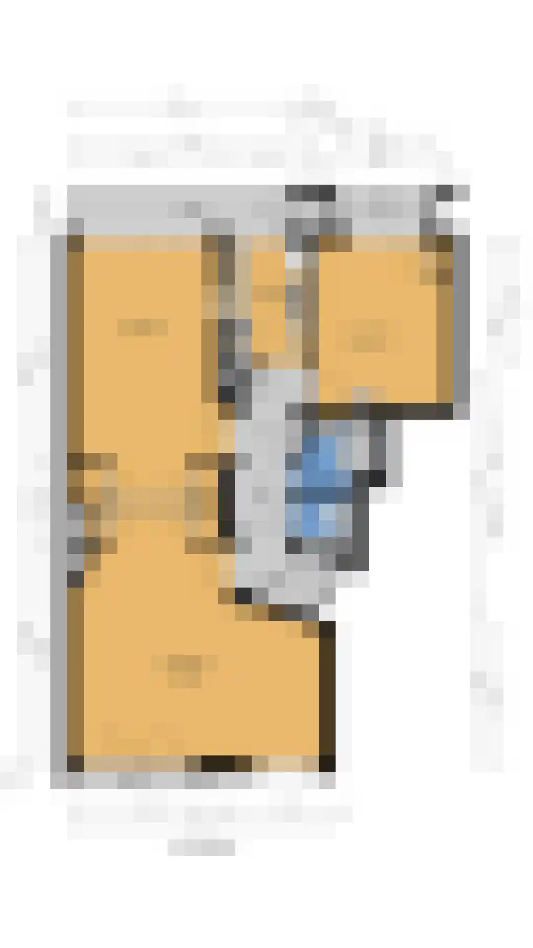 Johan van Oldenbarneveltlaan 20 C Den Haag thumbnail 34