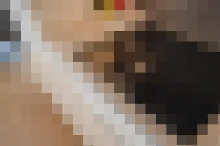 Johan van Oldenbarneveltlaan 27 C Den Haag thumbnail 18