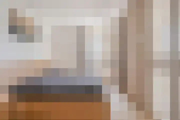 Johan van Oldenbarneveltlaan 27 C Den Haag thumbnail 24