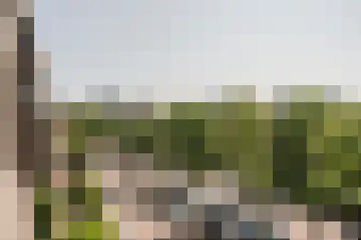 Johan van Oldenbarneveltlaan 27 C Den Haag thumbnail 27