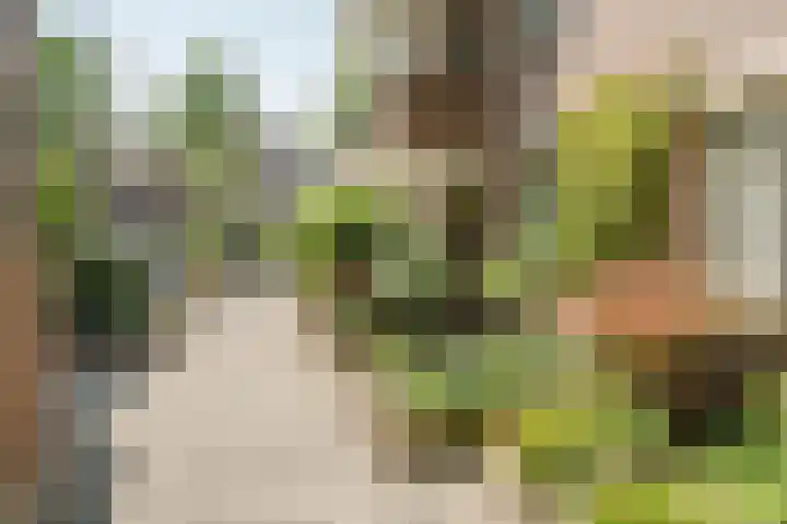 Johan van Oldenbarneveltlaan 27 C Den Haag thumbnail 33