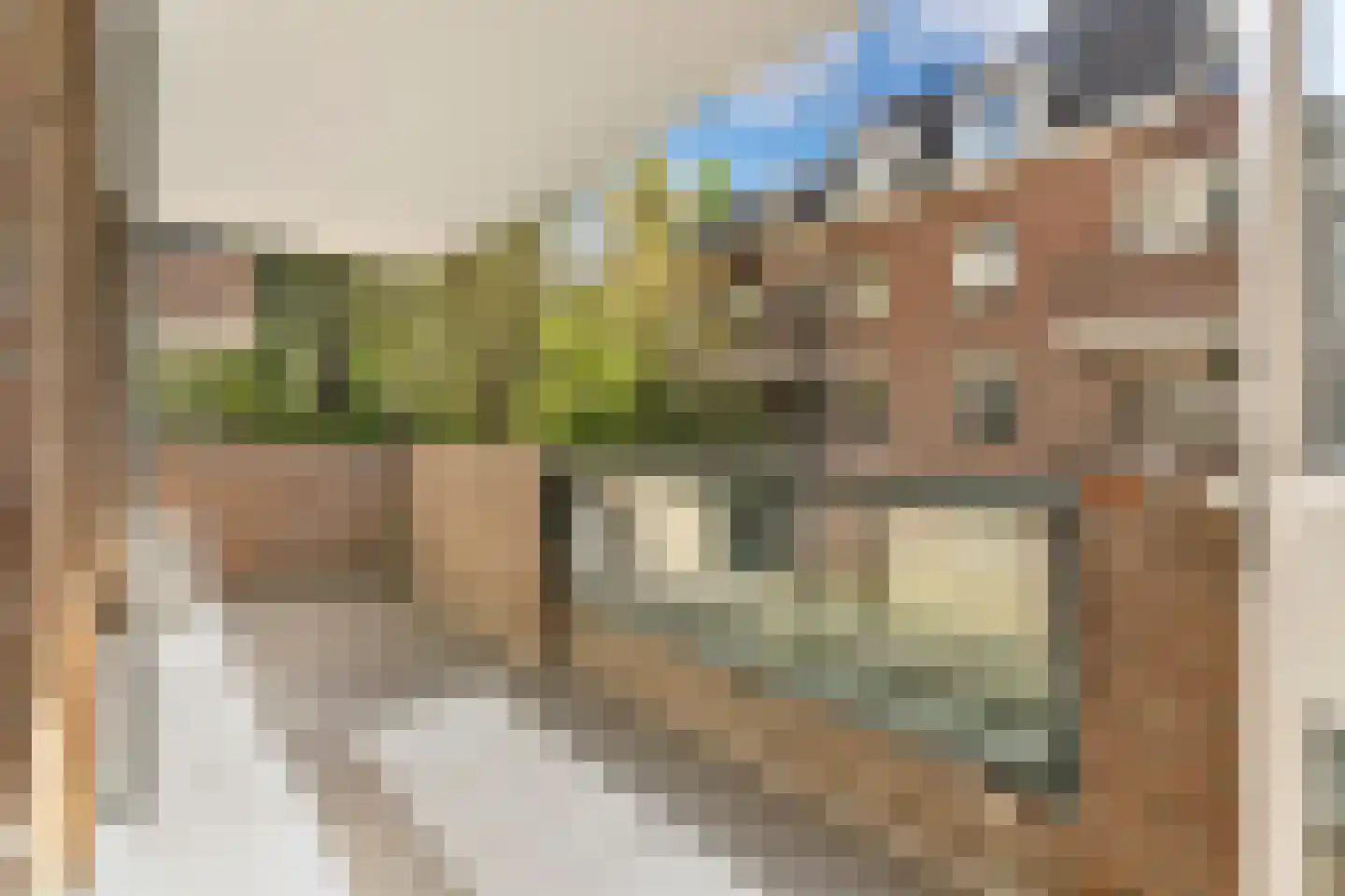 Johan van Oldenbarneveltlaan 29 G Den Haag thumbnail 17