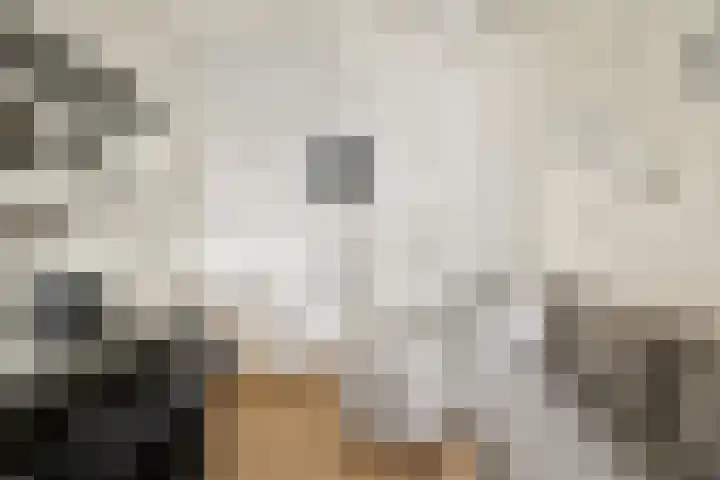 Johan van Oldenbarneveltlaan 31 K Den Haag thumbnail 13