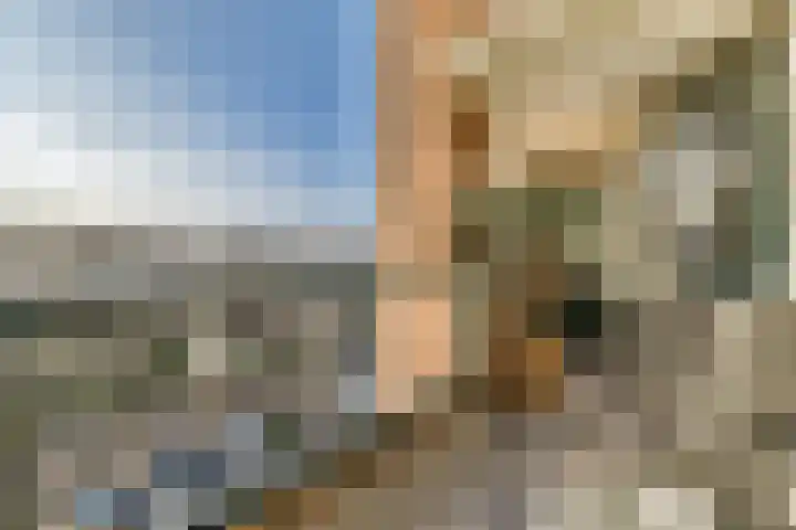 Johan van Oldenbarneveltlaan 31 K Den Haag thumbnail 6