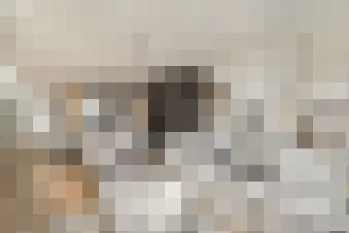 Johan van Oldenbarneveltlaan 31 K Den Haag thumbnail 8