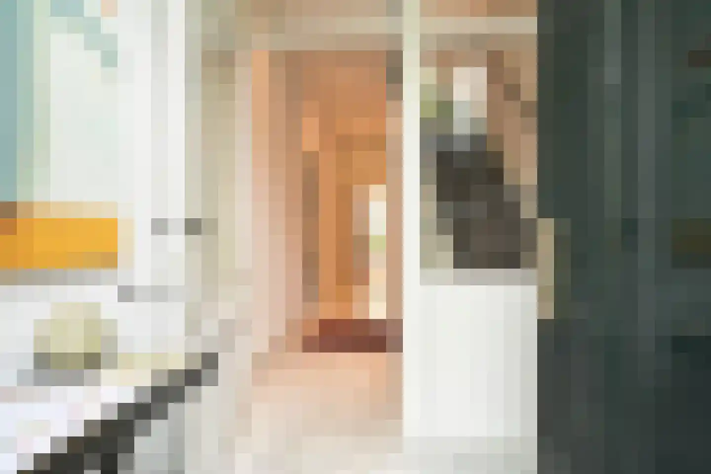 Johan van Oldenbarneveltlaan 32 Den Haag thumbnail 13