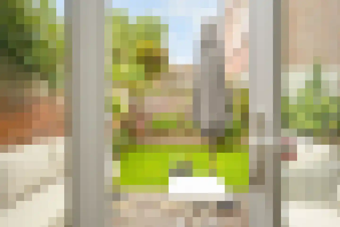 Johan van Oldenbarneveltlaan 32 Den Haag thumbnail 28