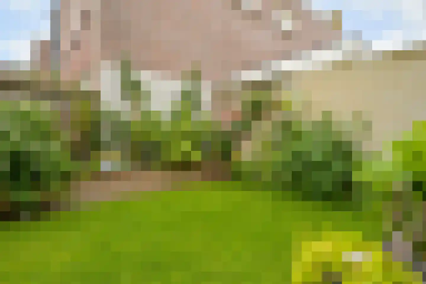 Johan van Oldenbarneveltlaan 32 Den Haag thumbnail 35