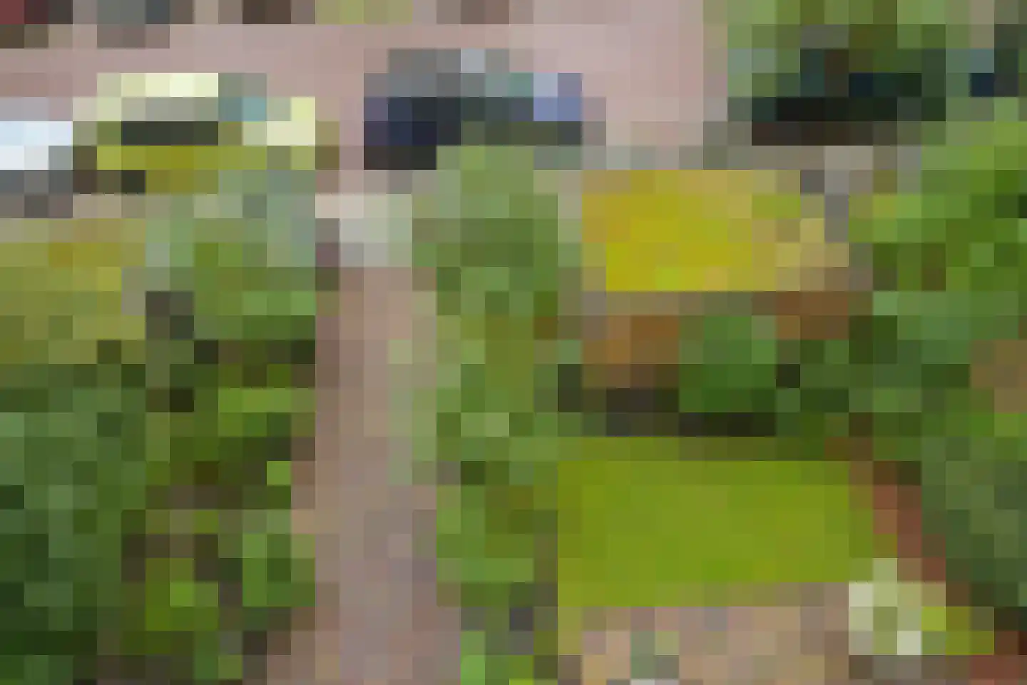 Johan van Oldenbarneveltlaan 32 Den Haag thumbnail 49