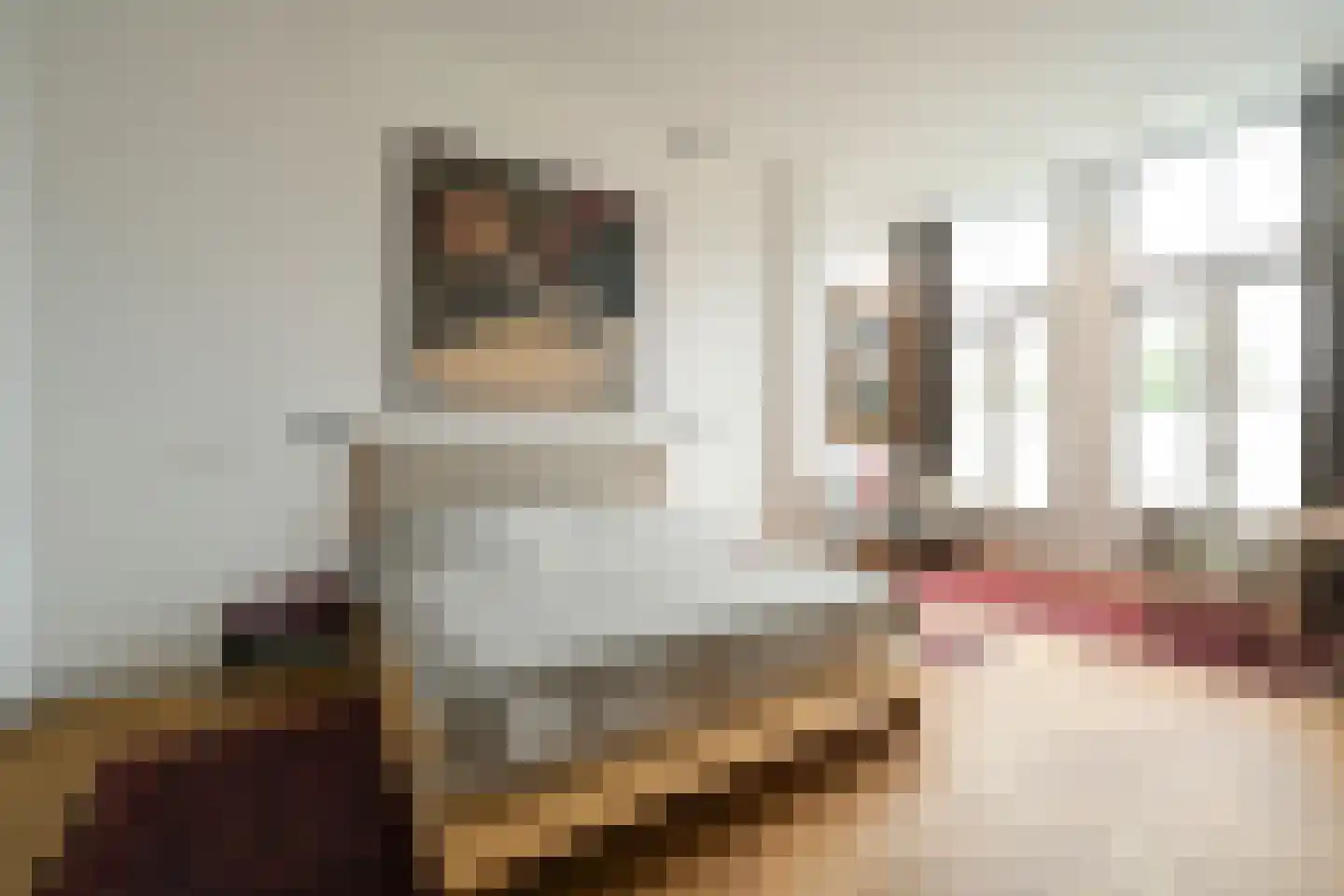 Johan van Oldenbarneveltlaan 32 Den Haag thumbnail 51