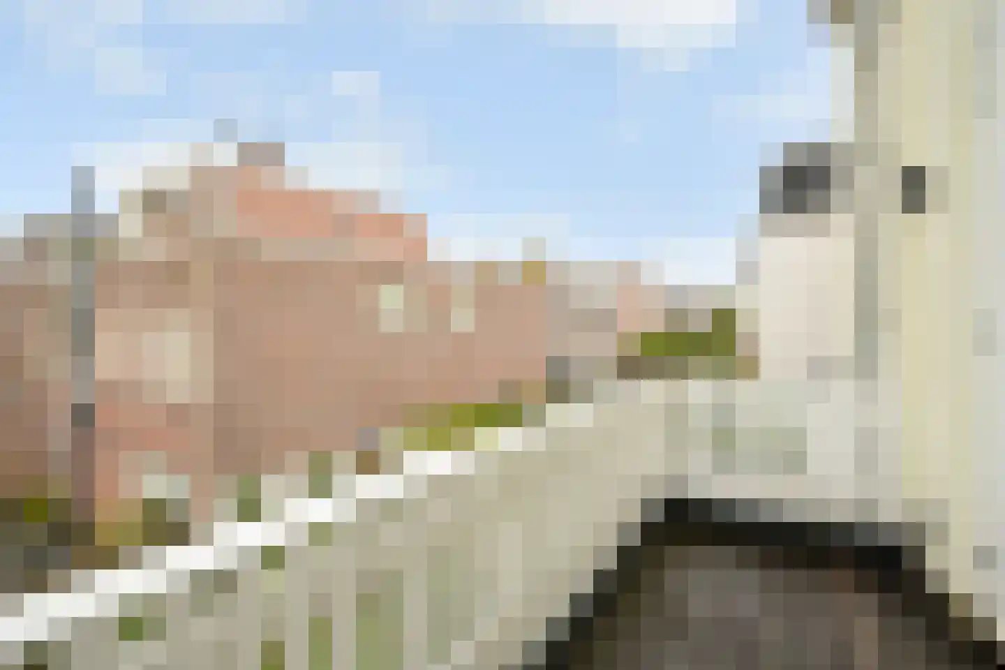 Johan van Oldenbarneveltlaan 32 Den Haag thumbnail 58