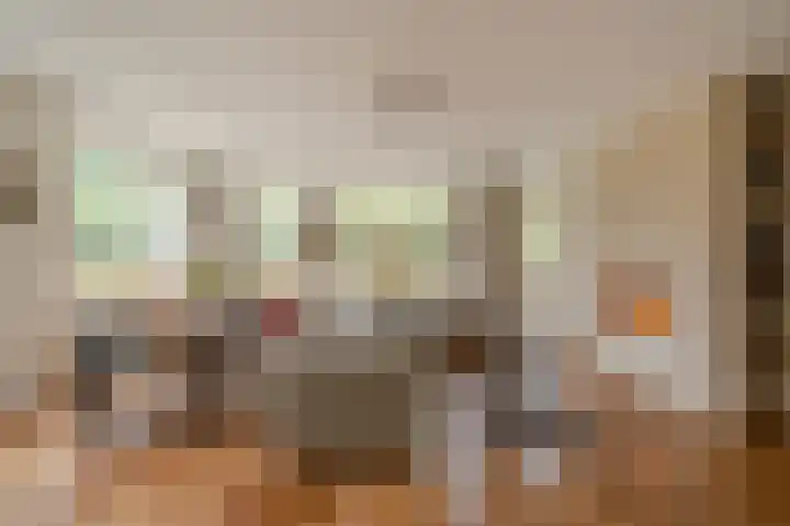 Johan van Oldenbarneveltlaan 33 Den Haag thumbnail 11