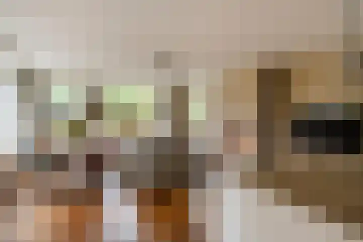 Johan van Oldenbarneveltlaan 33 Den Haag thumbnail 12