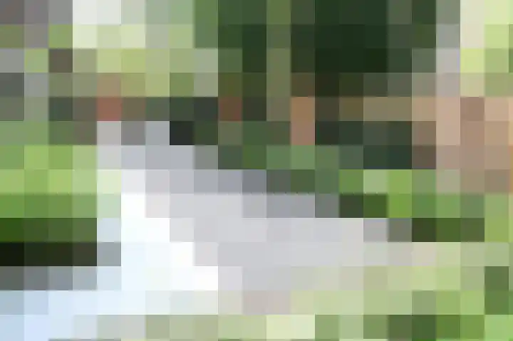 Johan van Oldenbarneveltlaan 33 Den Haag thumbnail 15