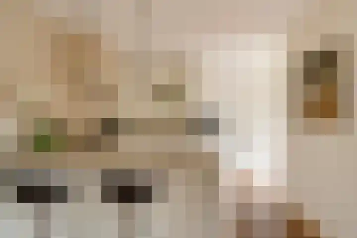 Johan van Oldenbarneveltlaan 33 Den Haag thumbnail 18