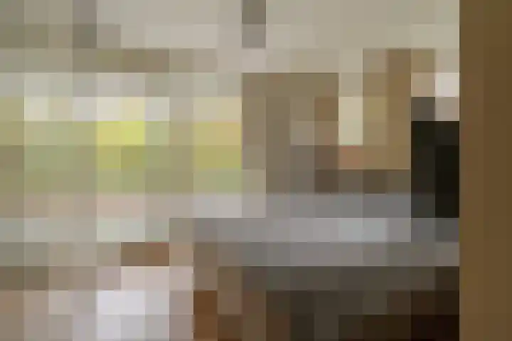 Johan van Oldenbarneveltlaan 33 Den Haag thumbnail 23