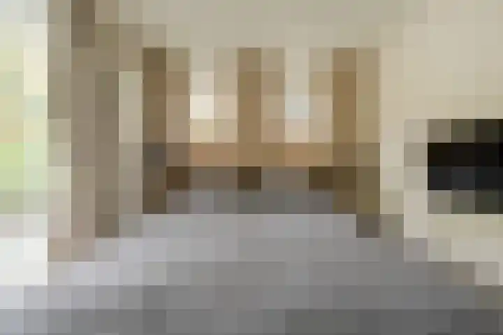 Johan van Oldenbarneveltlaan 33 Den Haag thumbnail 24