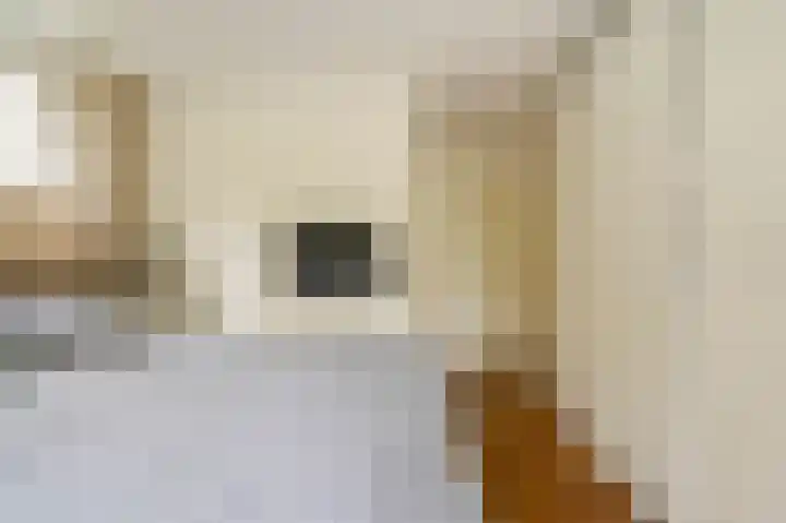 Johan van Oldenbarneveltlaan 33 Den Haag thumbnail 25