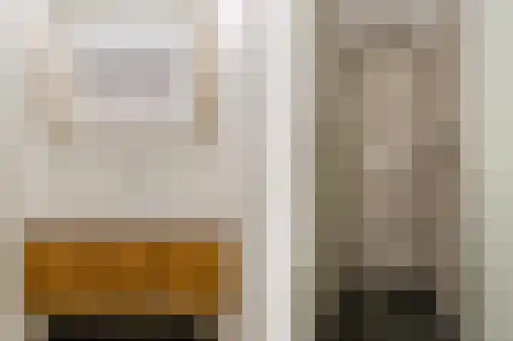 Johan van Oldenbarneveltlaan 33 Den Haag thumbnail 28