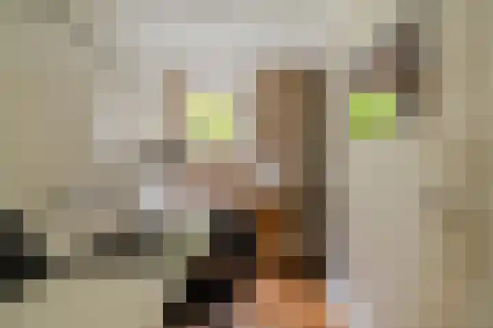 Johan van Oldenbarneveltlaan 33 Den Haag thumbnail 29