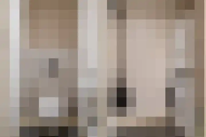 Johan van Oldenbarneveltlaan 33 Den Haag thumbnail 31