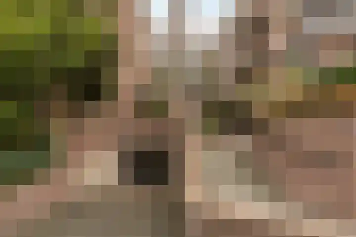 Johan van Oldenbarneveltlaan 33 Den Haag thumbnail 32