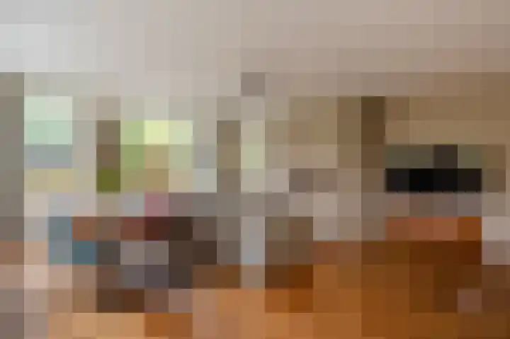 Johan van Oldenbarneveltlaan 33 Den Haag thumbnail 5