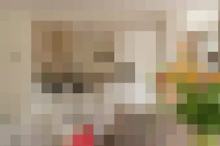 Johan van Oldenbarneveltlaan 33 Den Haag thumbnail 7
