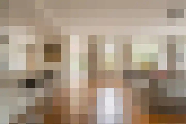 Johan van Oldenbarneveltlaan 33 Den Haag thumbnail 9