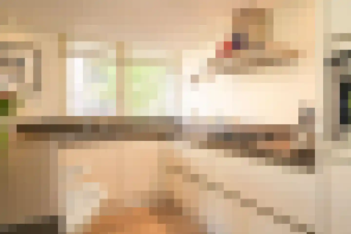 Johan van Oldenbarneveltlaan 33 G Den Haag thumbnail 27