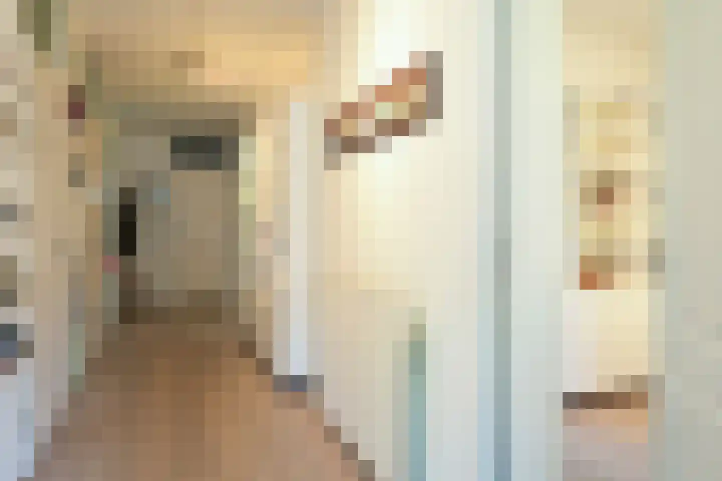 Johan van Oldenbarneveltlaan 33 G Den Haag thumbnail 31