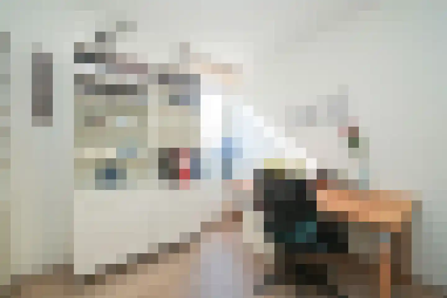Johan van Oldenbarneveltlaan 33 G Den Haag thumbnail 33