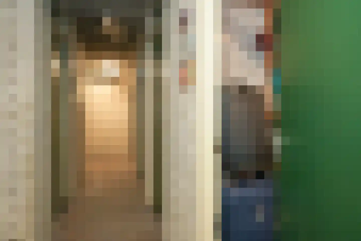 Johan van Oldenbarneveltlaan 33 G Den Haag thumbnail 40