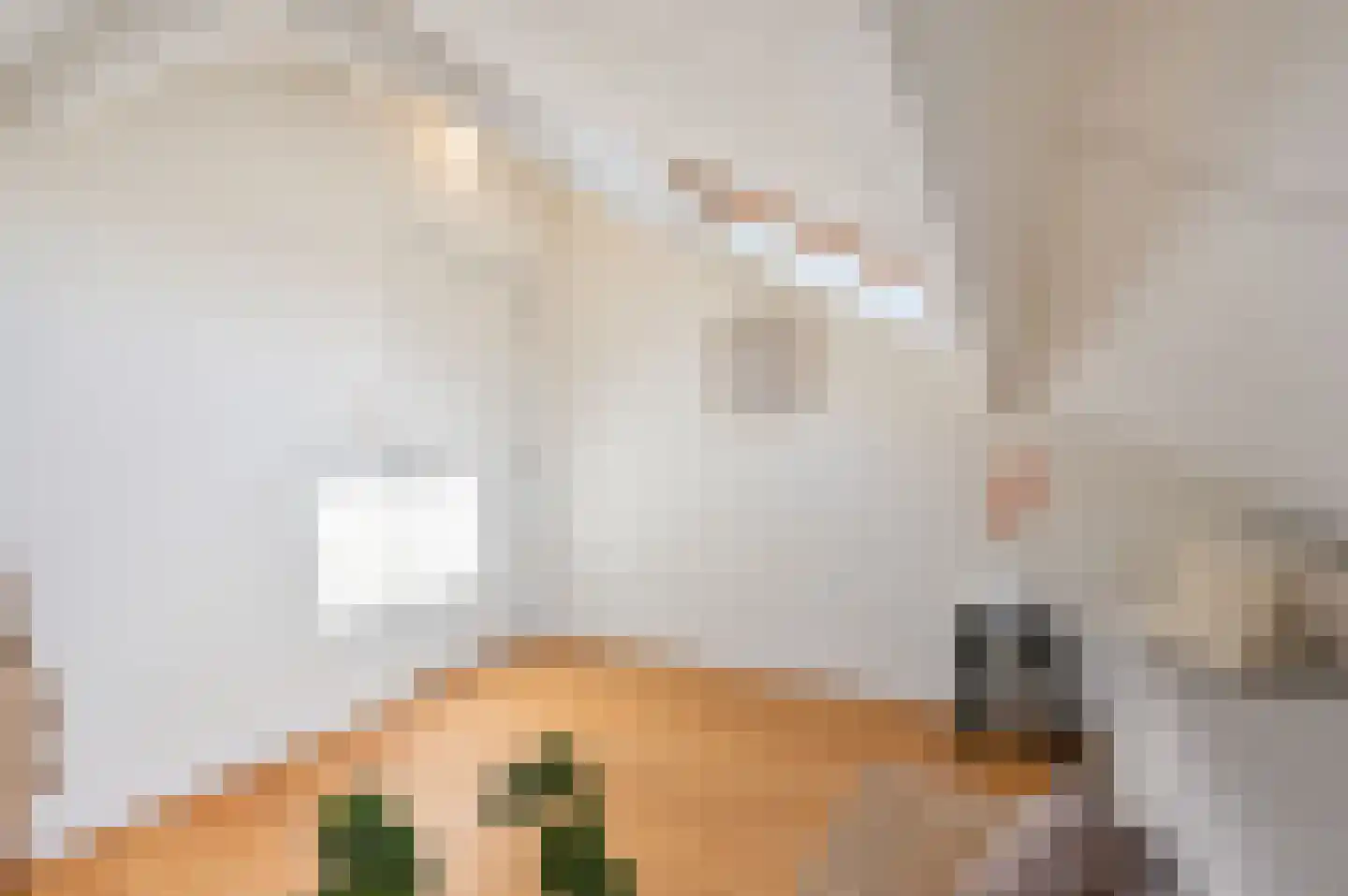 Johan van Oldenbarneveltlaan 39 B Den Haag thumbnail 38