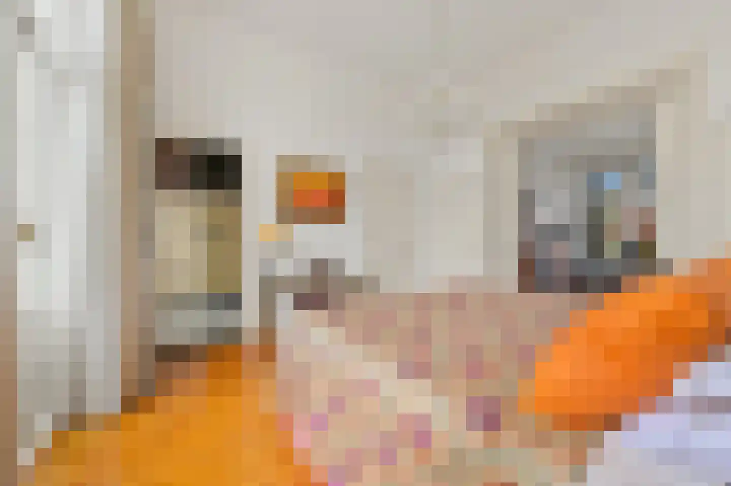 Johan van Oldenbarneveltlaan 44 Den Haag thumbnail 42