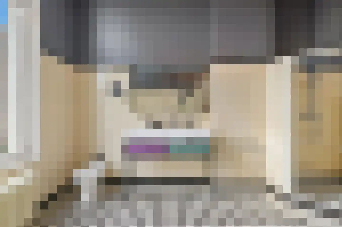 Johan van Oldenbarneveltlaan 44 Den Haag thumbnail 47