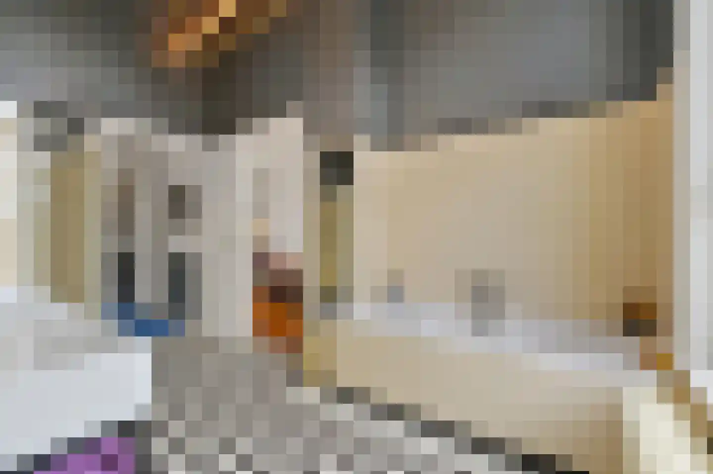 Johan van Oldenbarneveltlaan 44 Den Haag thumbnail 48