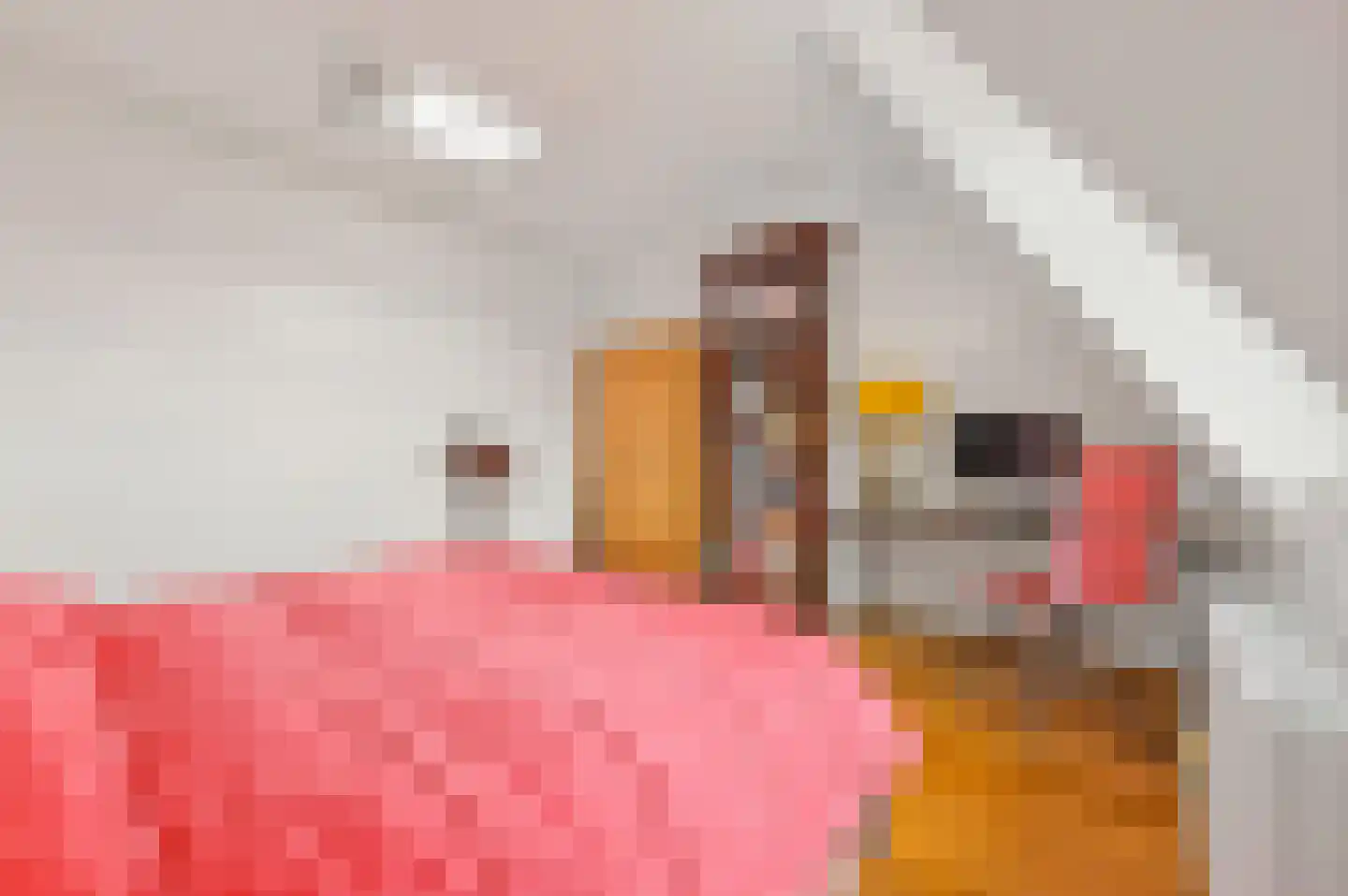 Johan van Oldenbarneveltlaan 44 Den Haag thumbnail 55