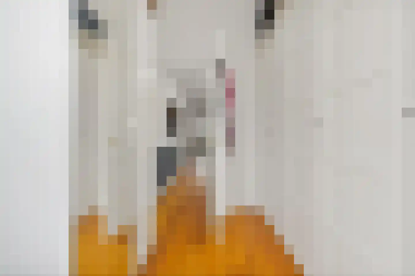 Johan van Oldenbarneveltlaan 44 Den Haag thumbnail 63