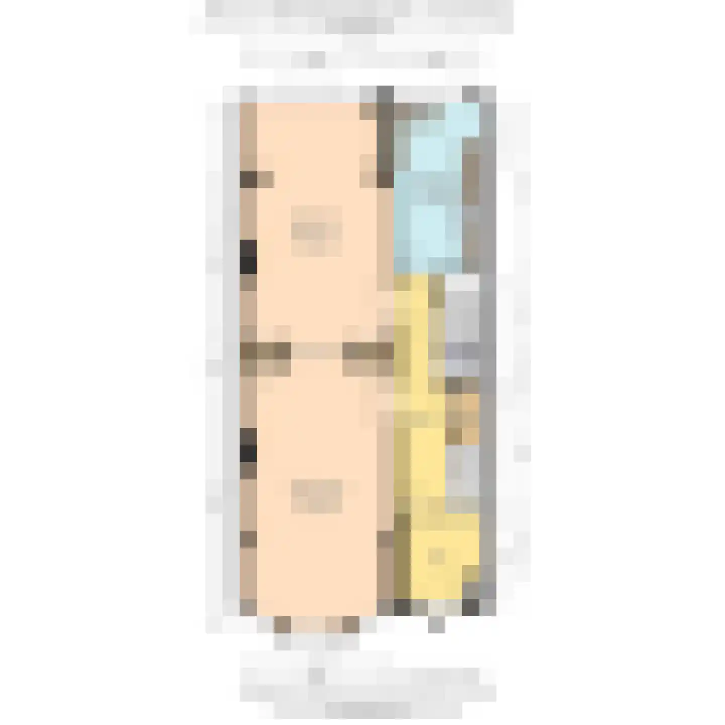 Johan van Oldenbarneveltlaan 44 Den Haag thumbnail 78