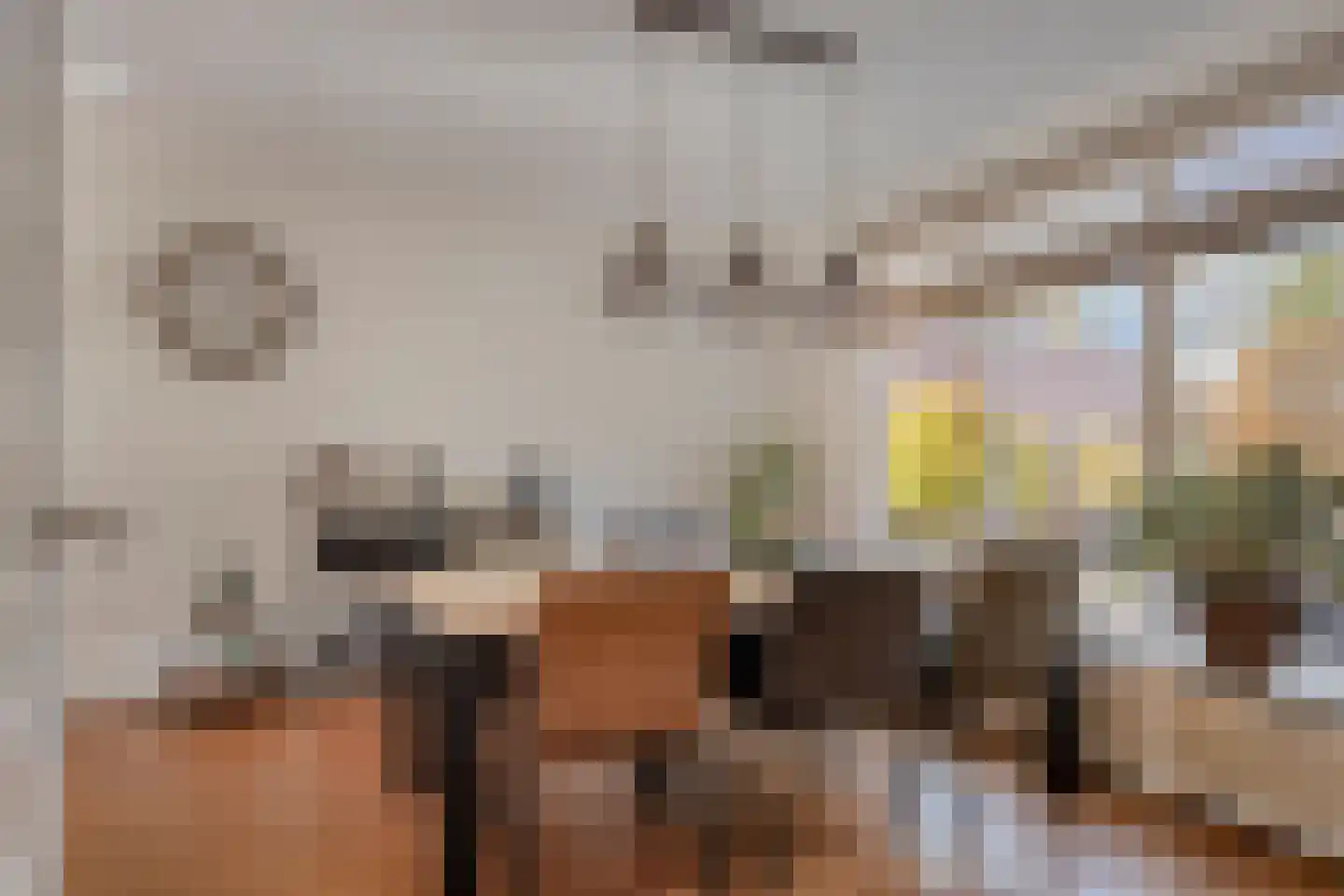 Johan van Oldenbarneveltlaan 44 Etten-Leur thumbnail 8