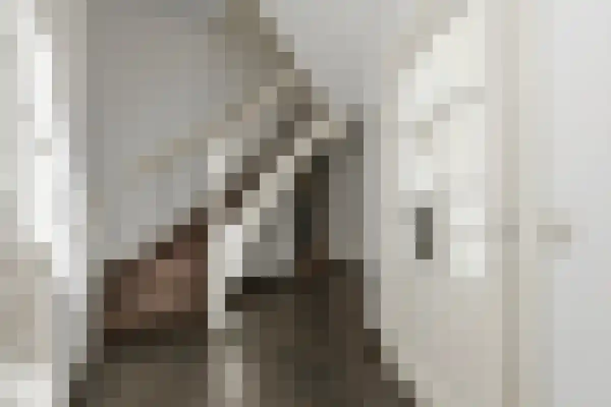 Johan van Oldenbarneveltlaan 53 Den Haag thumbnail 6