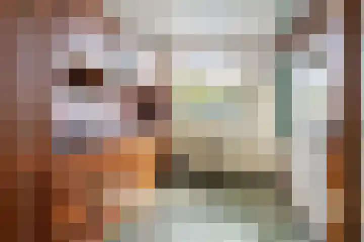 Johan van Oldenbarneveltlaan 78 Zeist thumbnail 14